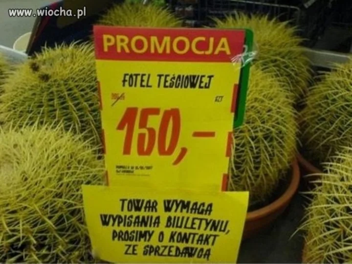 Niezła promocja.