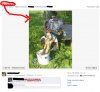 Kolejna gwiazdka na facebooku i youtubie