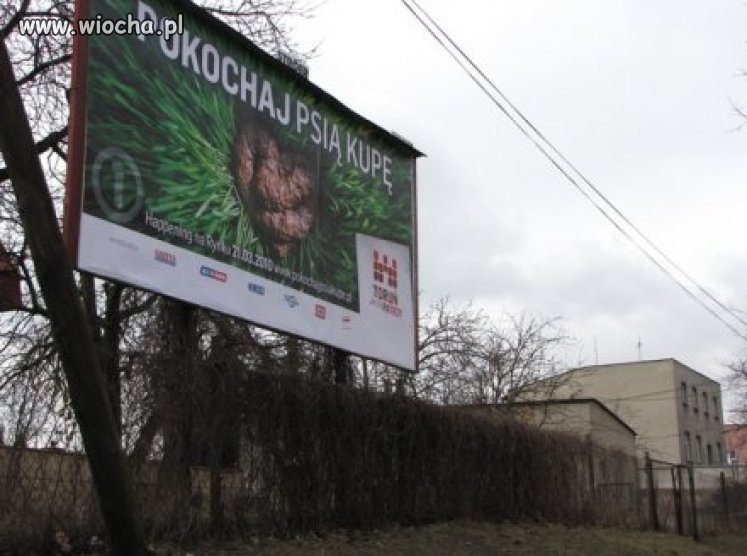 Pokochaj Psią Kupę