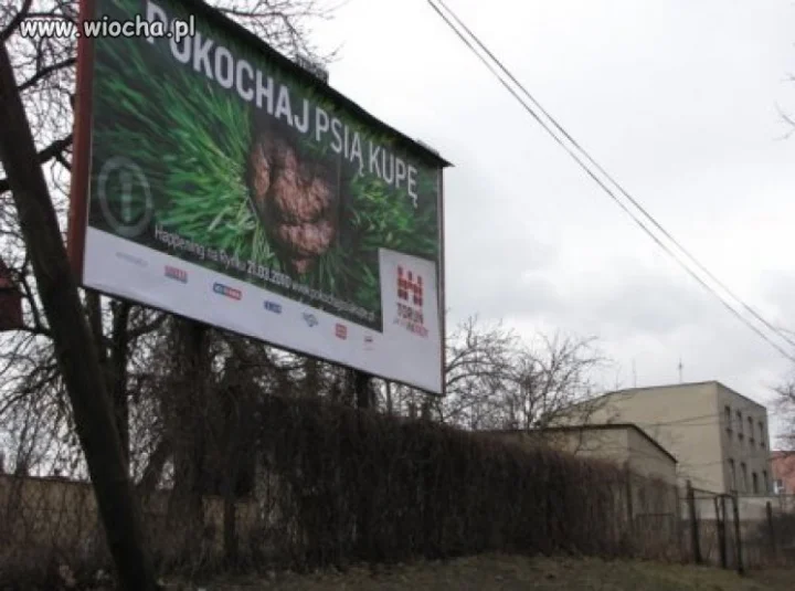 Pokochaj Psią Kupę