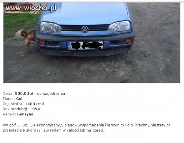 Pies gratis?