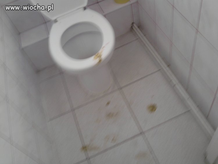 W polskiej szkole trzeba też uczyć umiejętności srania 
