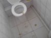 W polskiej szkole trzeba też uczyć umiejętności srania 