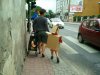 Kartony...