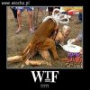 Jakieś zawody czy inne zabawy???