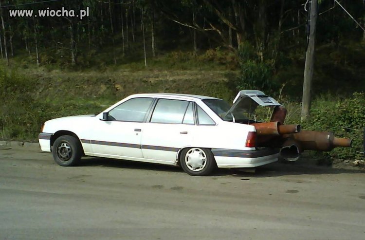 Niskopodłogowo