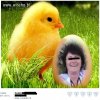 Najlepszy podpis pod zdjęciem