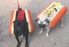 Hot-dogi?