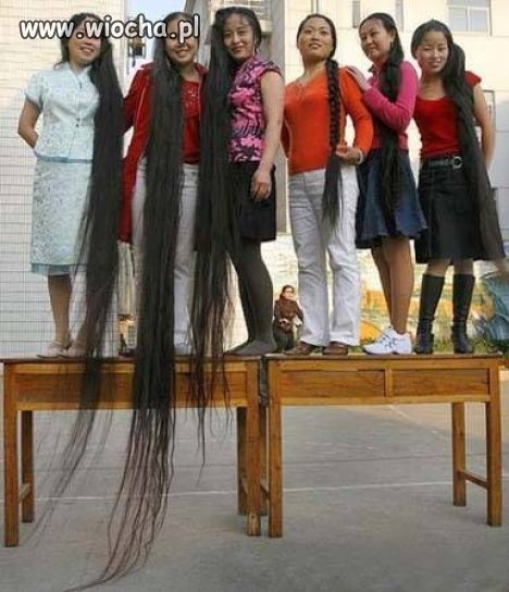 Pocahontas team