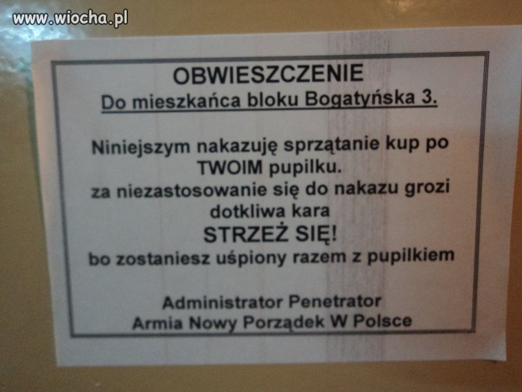 To nie wiocha sprzątać po psie