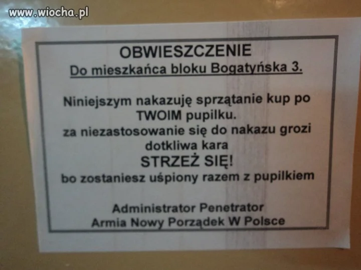 To nie wiocha sprzątać po psie