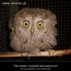 Może to i nie wiocha 
