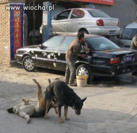 Doggystyle