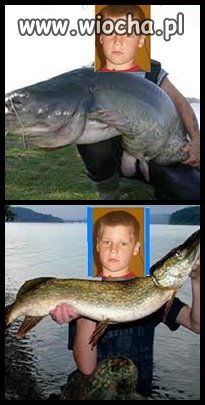 Kolejny mistrz Painta 