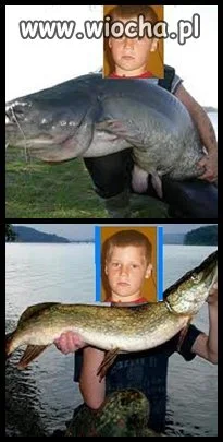 Kolejny mistrz Painta 