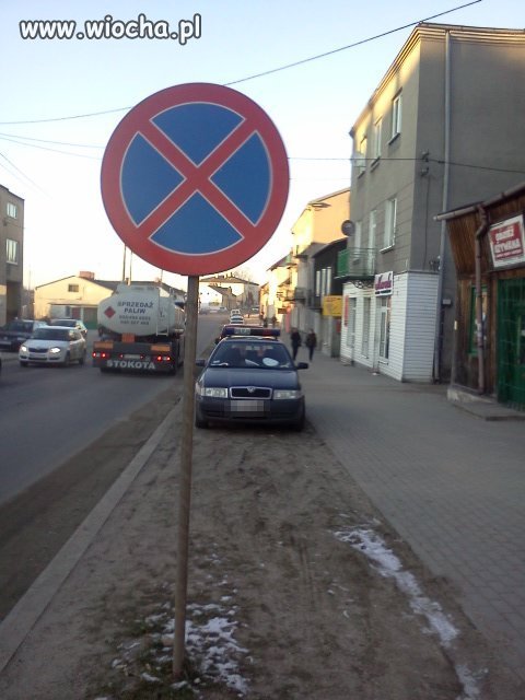 Polska Policja