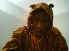 Tygrys