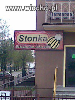 Biedronka wersja
