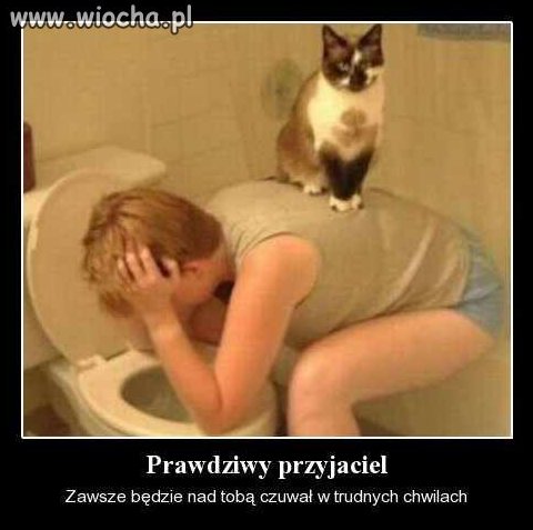 Prawdziwy przyjaciel... 