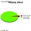 Ankieta co wybierasz