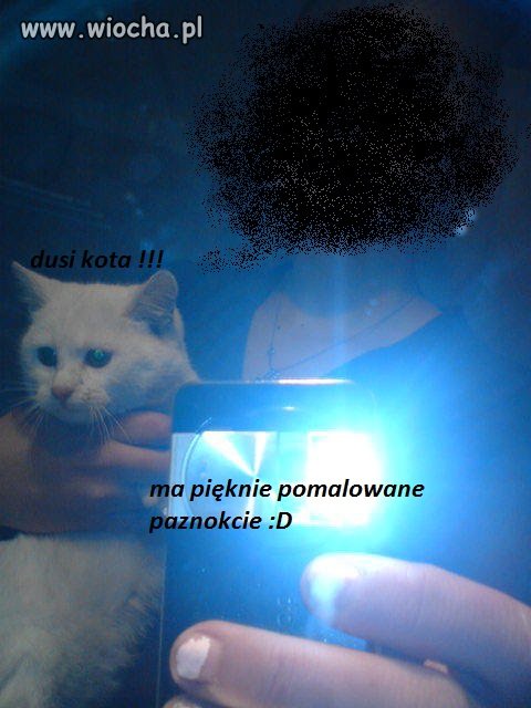 Fotka z kotkiem 