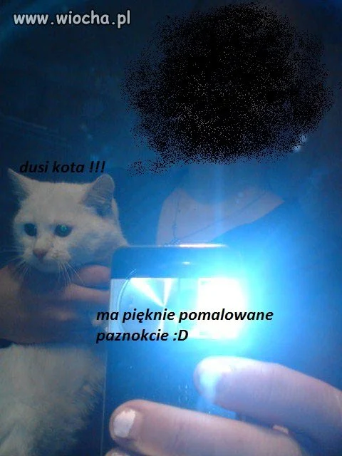 Fotka z kotkiem 