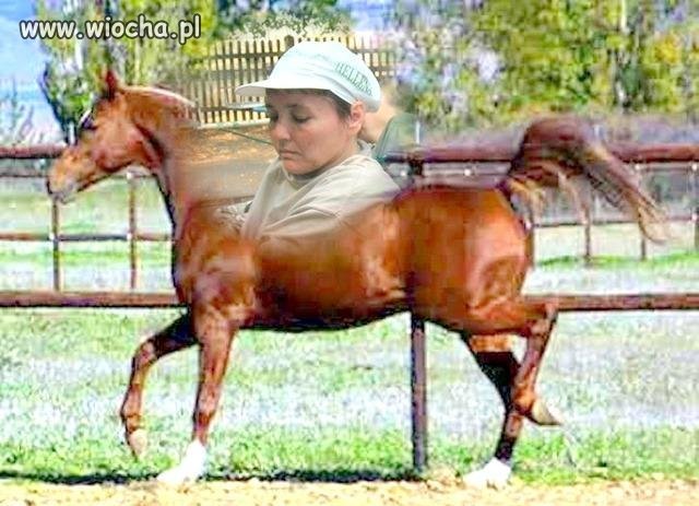 Oceniajcie.