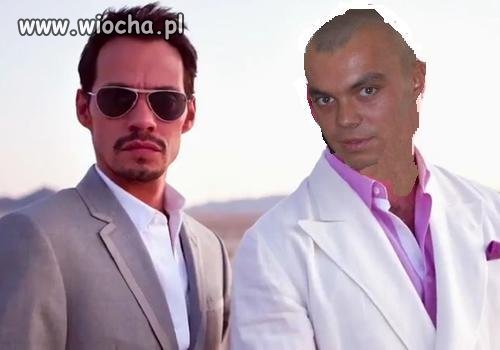 Pitbull reaktywacja