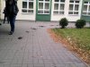 Szkoła na wsi...