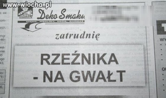 Oferta pracy