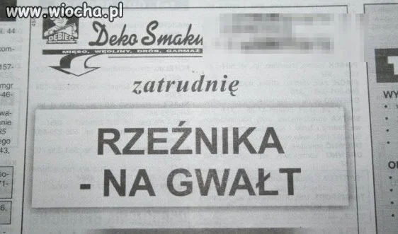 Oferta pracy