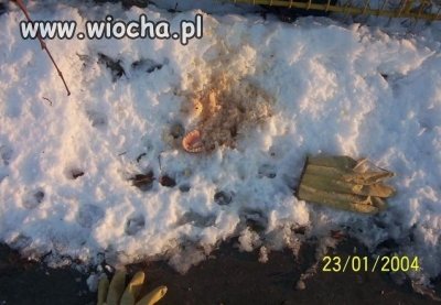 Nieźle wywaliło