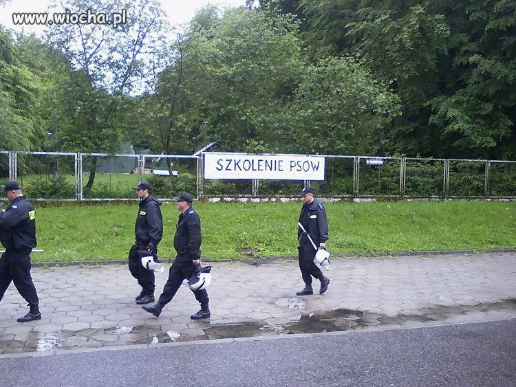 Szkolenie psów