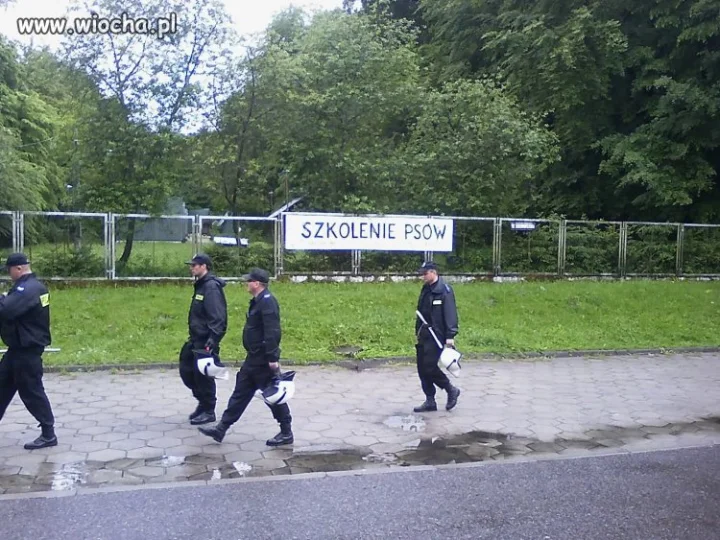 Szkolenie psów