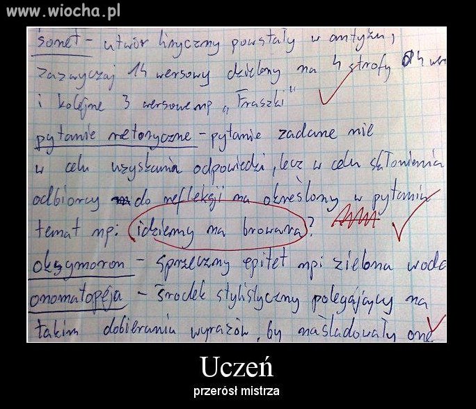 Idziemy na browara?
