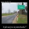 Pizdów