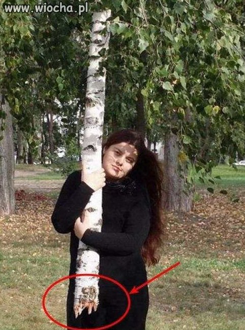 Fail