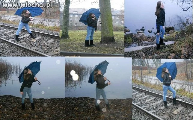 Różnorodność zdjęć 