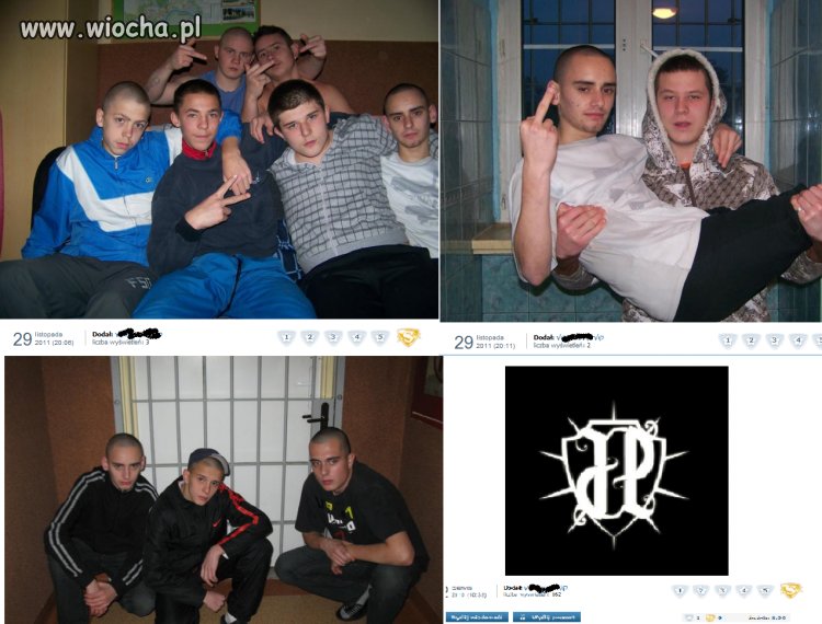 Pokolenie JP z poprawczaka