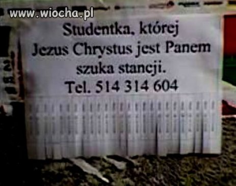 Studentka i pan