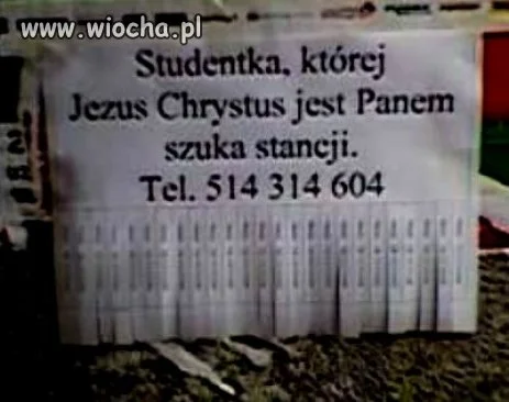 Studentka i pan