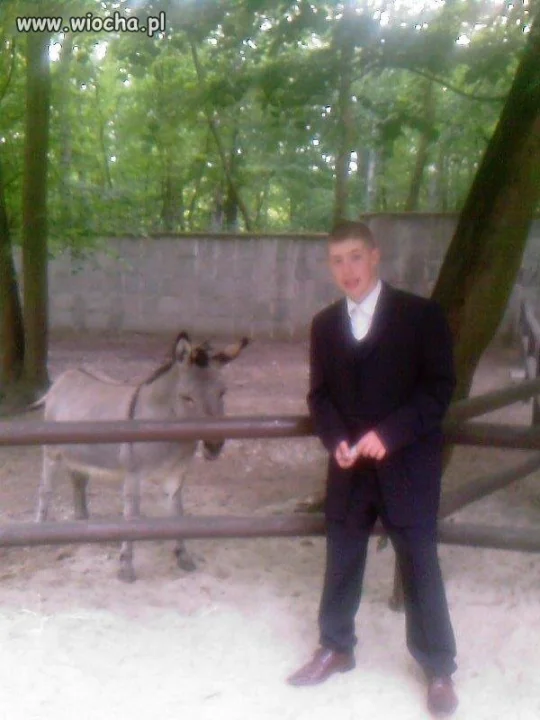 W zoo