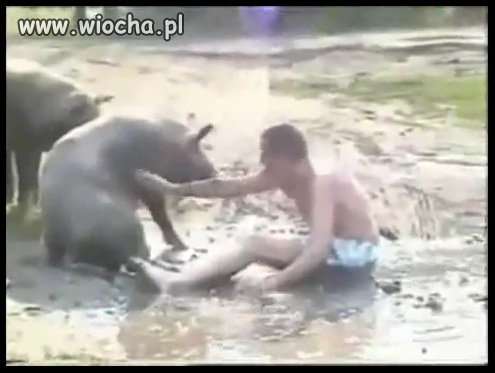 Nie ma jak w śród swoich 