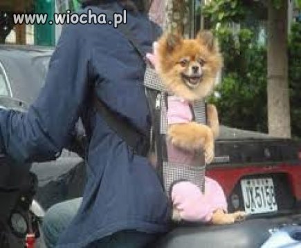 Nierozłączni