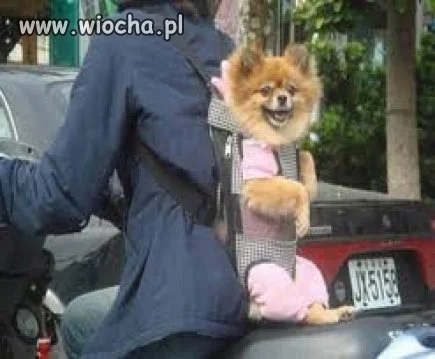 Nierozłączni