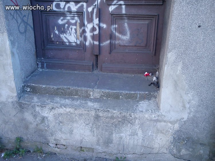 Powinni dodać kategorię: Wiocha w mieście