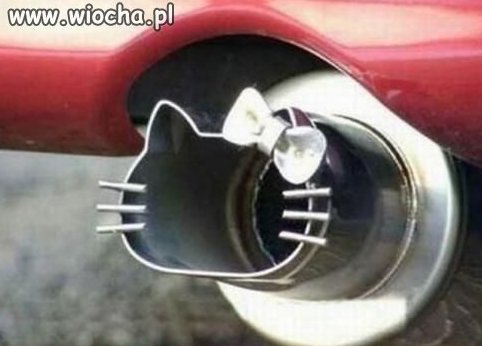 Coś dla prawdziwego faceta
