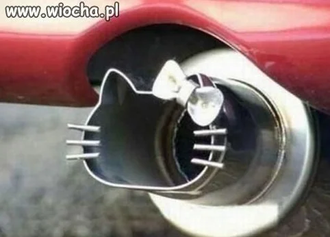 Coś dla prawdziwego faceta