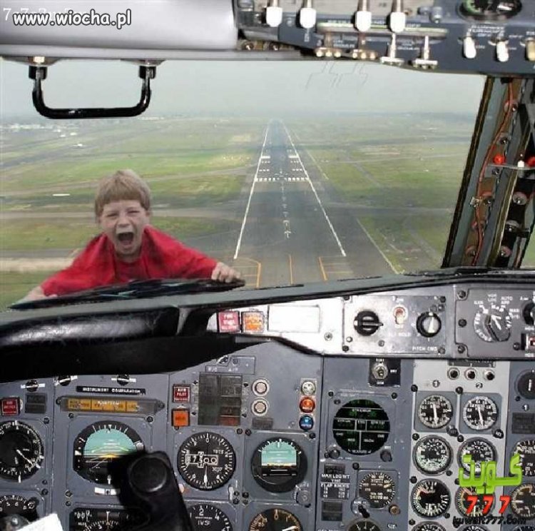 Pasażer na gapę?