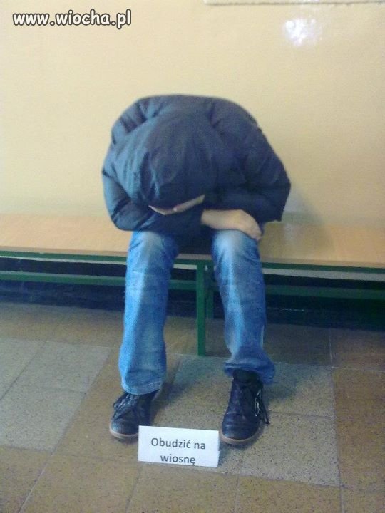 Śpioch